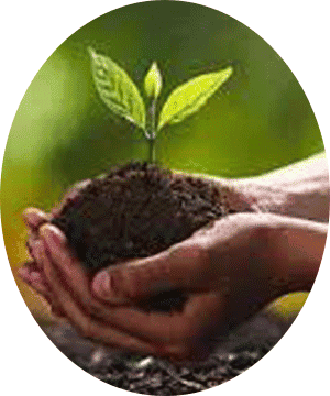 پروژه های طبیعت و مهار آتش